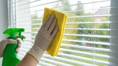 Millä lasit voi puhdistaa, jotta niitä ei tarvitse pestä jokaisen sateen jälkeen: menetelmä kotitalousvälineillä