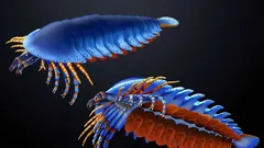 Utahissa löydetty fossiili siirtää hylsyjalkojen – hämähäkeille ja skorpioneille tyypillisten torahampaiden – syntyä 20 miljoonaa vuotta taaksepäin.