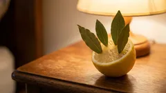  Laita huoneeseesi sitruuna ja laakerinlehtiä. Seuraavana aamuna kiität itseäsi siitä.