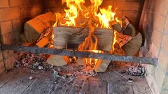 Mitä puulajeja ei saa polttaa kotona: nämä puulajit eivät tuota lämpöä