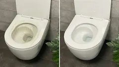 Kaksi tablettia puoleen litraan vettä – ja jopa vanhimmatkin WC-istuimet kiiltävät kuin uudet.